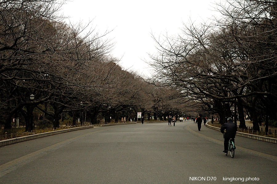 ueno park 70.jpg - 上野公園